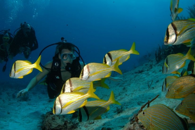 El mejor buceo de tu vida